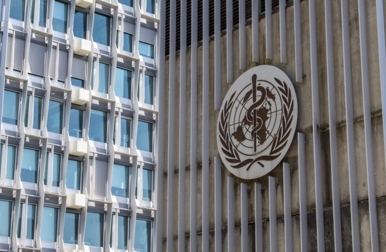 OMS: Brote de hantavirus tiene un riesgo “muy bajo” para la población