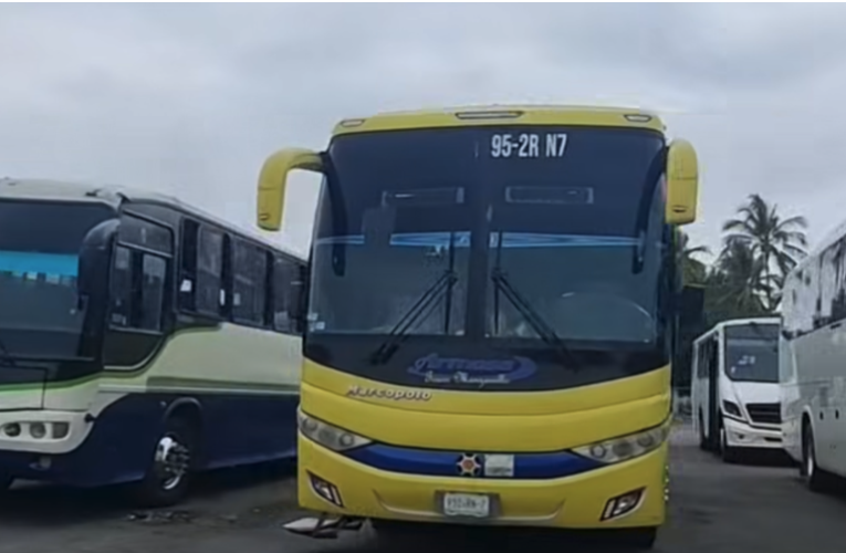 Morena en Colima renta decenas de camiones para acarrear gente a la proyección del segundo aniversario del poder ejecutivo